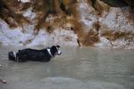 Čez tri gore in zelene travnike - fotografija 13