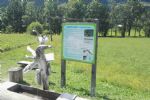 Čez tri gore in zelene travnike - fotografija 35