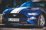 Ko ti ta Američan spremeni življenje - fotografija 21