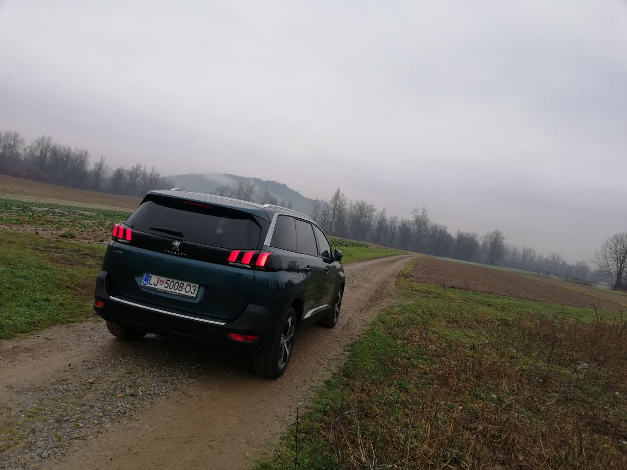 Podaljšani brat Podaljšani brat