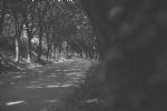 Kako se z Mazdo MX-5 ujame nežna fotografska roka - fotografija 28