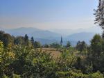 Dinamična in varčna Japonka - fotografija 10