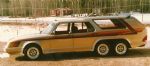 Šved z dodatnim parom koles - fotografija 1