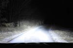 Za dobrim konjem vedno bobni in poka - fotografija 26