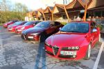 Alfafest Brkini že šestič - fotografija 18