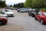Alfafest Brkini že šestič - fotografija 3