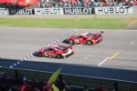Ferrari Finali Mondiali 2019 - fotografija 92