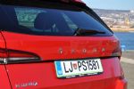 Najmanjši terenski predstavnik ni tako majhen - fotografija 23