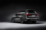 Temna tema z Bavarske - fotografija 2