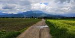 Letalo, ki nikoli ni pristalo na Brniku - fotografija 9