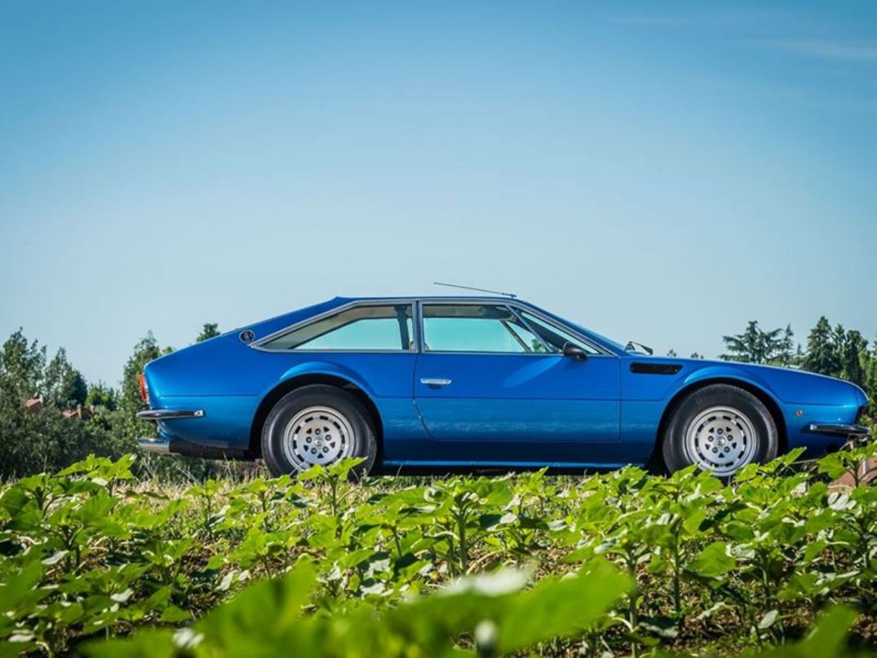 Pol stoletja Lamborghinijeve Jarame Pol stoletja Lamborghinijeve Jarame