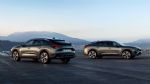 Več vrst Citroena v enem avtomobilu - fotografija 8