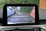 Velika pol električna mačka - fotografija 15