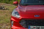 Velika pol električna mačka - fotografija 20