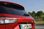 Velika pol električna mačka - fotografija 22
