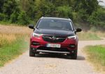 Družinski SUV hibrid - fotografija 27