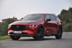 Paradni konj - fotografija 16