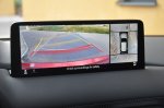 Paradni konj - fotografija 1