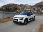C kot Citroen: udobje, brezskrbnost, značaj - fotografija 1