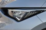 Španski električni temperament - fotografija 14