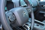 Veliki Citroen za 150 kupcev letno - fotografija 14