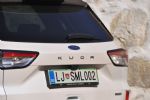 Klasični hibrid za umirjene - fotografija 9