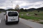 Čez Dolenjsko na konec sveta in nazaj - fotografija 2