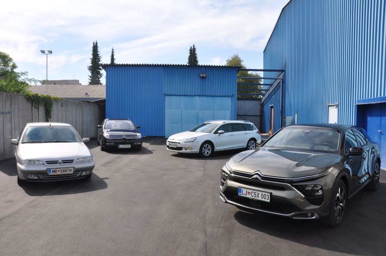 Letos s Kitajske prihaja 60 primerkov Letos s Kitajske prihaja 60 primerkov