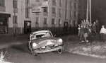 Boginja za domačo uporabo - fotografija 22