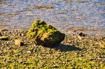 Izlet z DS 7 v istrski Fjord - fotografija 23