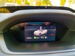 Strupena češka električna puščica - fotografija 14