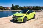Strupena češka električna puščica - fotografija 1