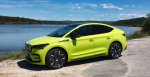Strupena češka električna puščica - fotografija 4