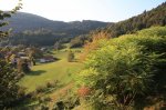 Brez pasoša skozi Judovsko hišo na osvobojeno ozemlje - fotografija 4