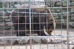 Ves čas s pogledom na Vipavsko dolino - fotografija 23
