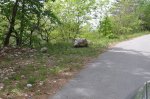 Ves čas s pogledom na Vipavsko dolino - fotografija 2