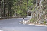 Ves čas s pogledom na Vipavsko dolino - fotografija 38