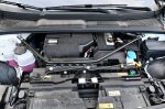 Ljudski kralj elektrike - fotografija 19
