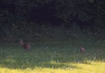 Čez goro v hladno vodo - fotografija 34