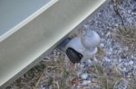 Potovalni in prostorski posebnež - fotografija 18