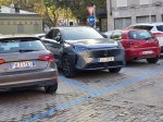 Družinsko potovanje s hibridno gnanim križancem - fotografija 17