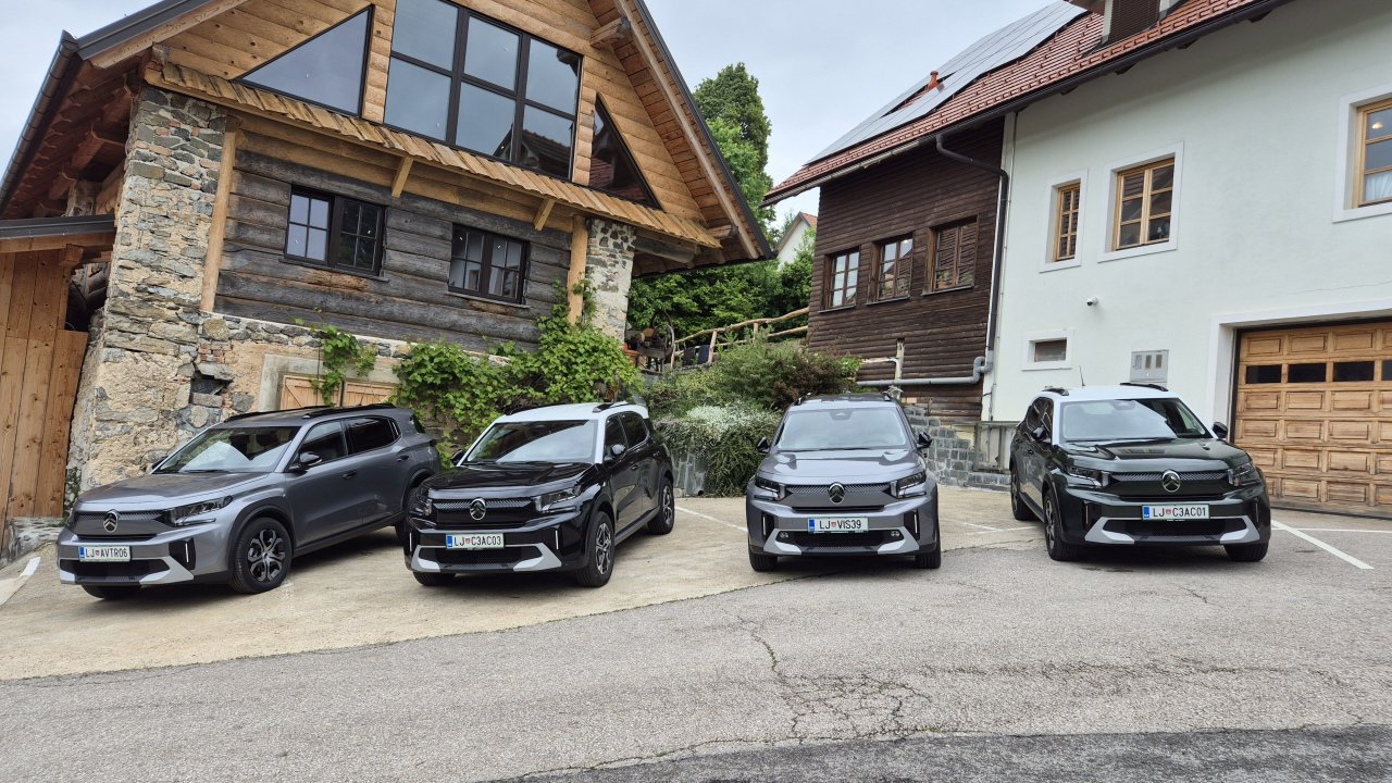 Bencinski, hibridni, električni ali s sedmimi sedeži
