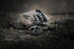 Ne le izpuhi, po novem tudi stopalke iz titana - fotografija 3