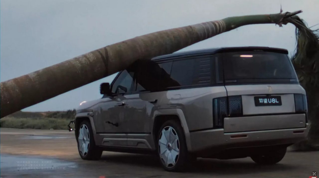 Padec palme prenesel, kot da se ni zgodilo nič