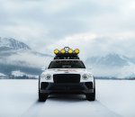 Terenska zverina z leda v Zell am Seeju - fotografija 17