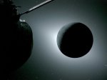 Astronavti, ki so postavili nov zgodovinski mejnik, so nazaj - fotografija 53