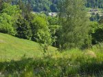 Mir pod koroškim nebom s štirikolesnim pogonom - fotografija 53