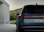 Novi Audi Q7 je večji, a ni več največji Audijev SUV - fotografija 18