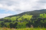 V Mayrhofen po golaž, glasbo in nepozabno srečanje - fotografija 118