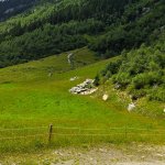 V Mayrhofen po golaž, glasbo in nepozabno srečanje - fotografija 32